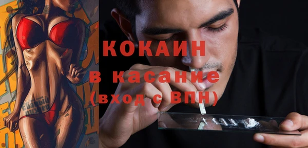 гидра Вязьма