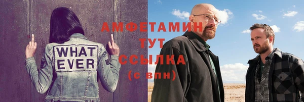 прущие грибы Вязники