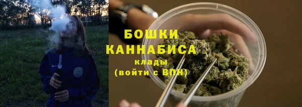 прущие крисы Вяземский