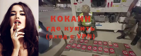 гидра Вязьма