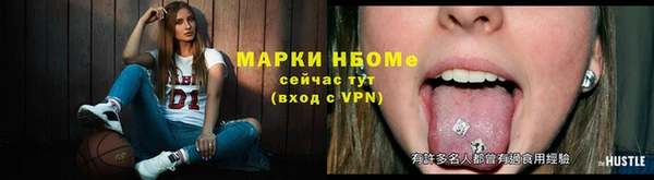 гидра Вязьма