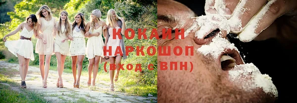 прущие крисы Вяземский