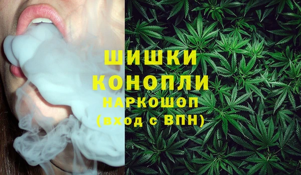 гидра Вязьма