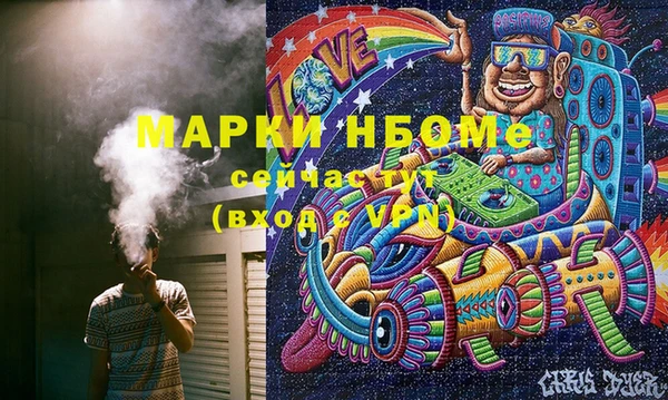 гидра Вязьма