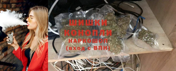 прущие крисы Вяземский