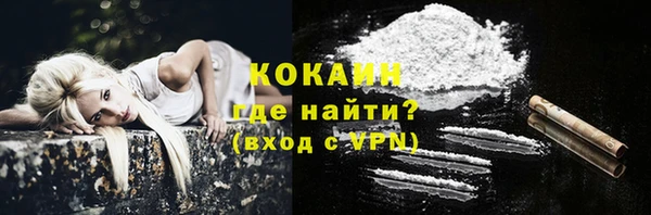прущие грибы Вязники