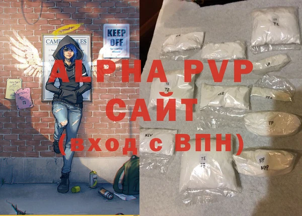 прущие грибы Вязники
