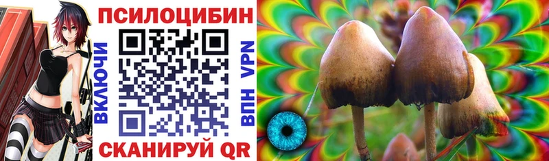 Галлюциногенные грибы Magic Shrooms  закладки  Любим 